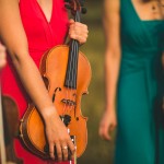 Rhiannon James, Zelkova Quartet