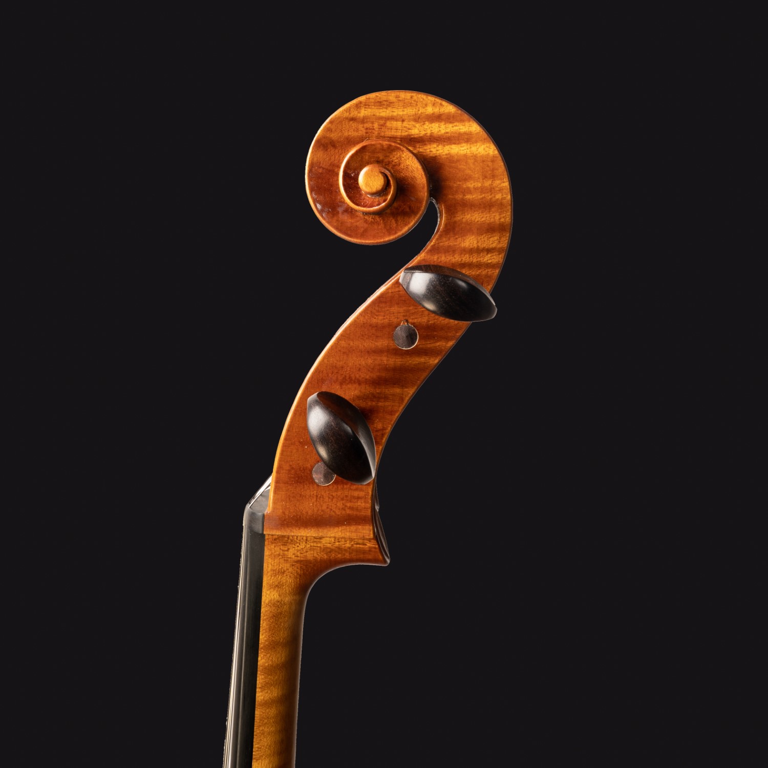 Cello - Hedda R. H. Dyrnes